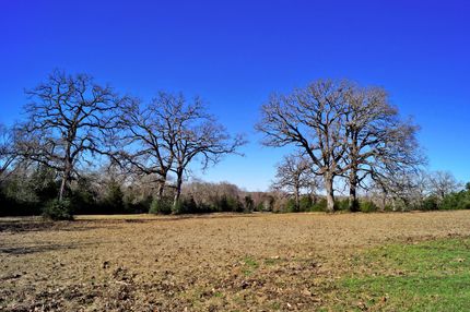 Farm Property in Madison County, Texas
