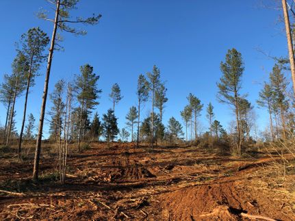 Recreational Property in Polk County, Georgia