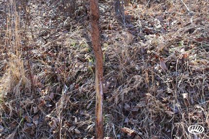 Property in Independence County, Arkansas