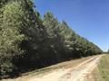 Farm Property in Harrison County, Texas