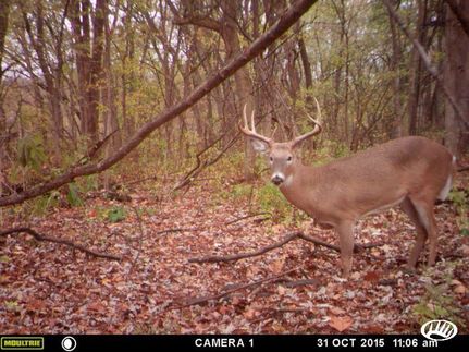 Ranch Property in Iroquois County, Illinois