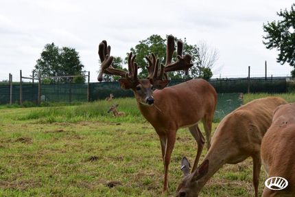 Ranch Property in Kankakee County, Illinois