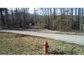 Property in Wayne County, Kentucky