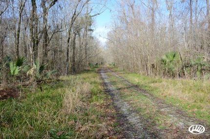 Ranch Property in Saint Charles Parish, Louisiana