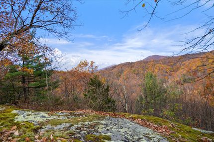 Timberland Property in Roanoke County, Virginia