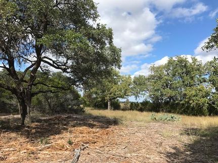 Undeveloped Land in Williamson County, Texas