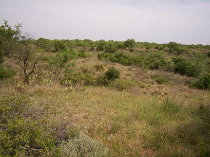 Property in Concho County, Texas