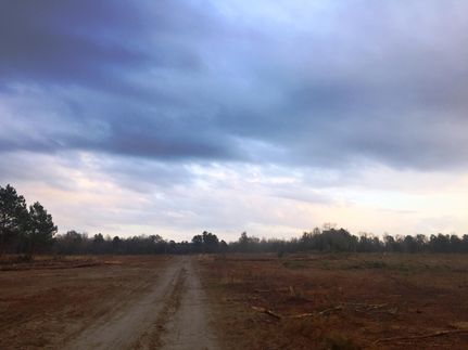 Ranch Property in Clarendon County, South Carolina