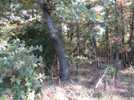 Farm Property in Latimer County, Oklahoma