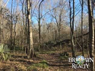 Undeveloped Land in Franklin Parish, Louisiana