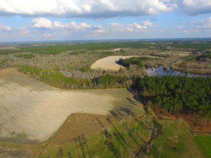 Hunting Land in Bacon County, Georgia