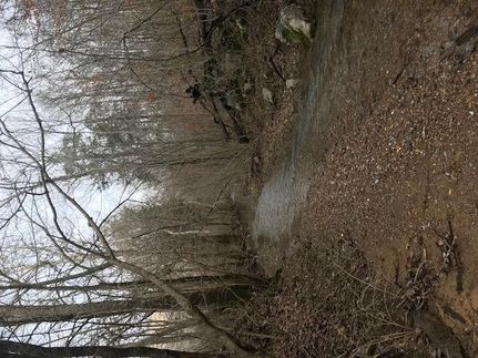 Farm Property in Grundy County, Tennessee