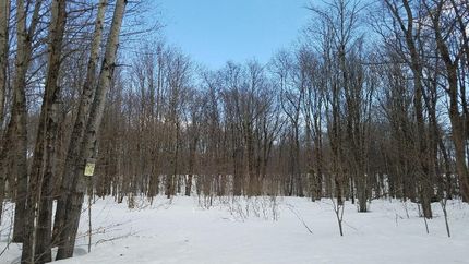 Residential Property in Oswego County, New York
