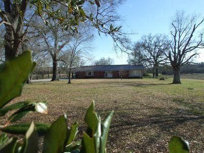 Hunting Land in Hale County, Alabama