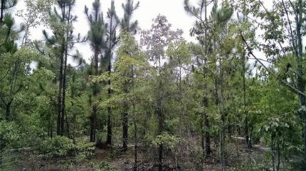 Property in Kershaw County, South Carolina