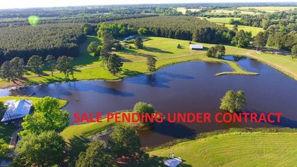 Timberland Property in Rusk County, Texas