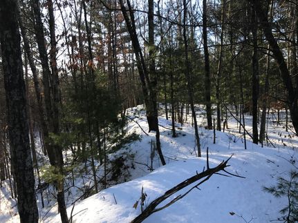 Farm Property in Clark County, Wisconsin