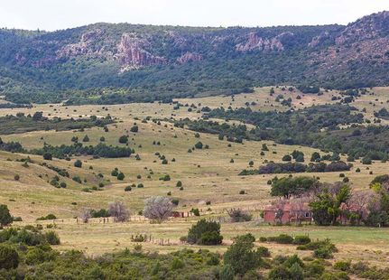 Farm Property in Union County, New Mexico