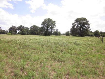 Undeveloped Land in Lee County, Texas