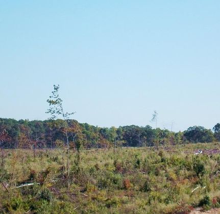 Ranch Property in Leake County, Mississippi