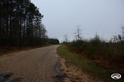 Farm Property in Saint Helena Parish, Louisiana