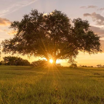 Ranch Property in Lake County, Florida