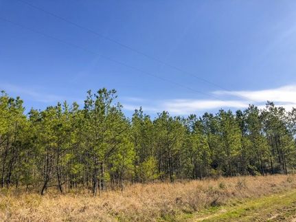 Farm Property in Jasper County, Texas