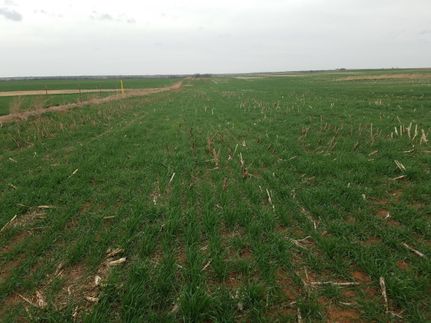 Farm Property in Garfield County, Oklahoma