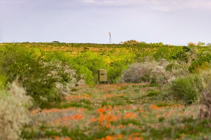 Property in Duval County, Texas