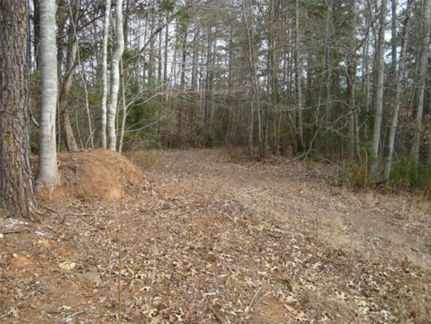 Residential Property in Chester County, South Carolina
