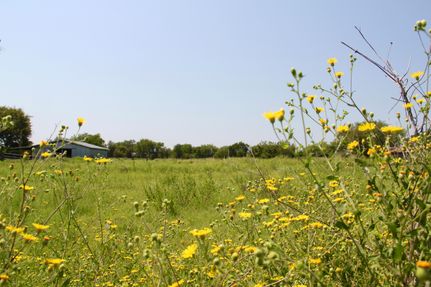 Farm Property in Lee County, Texas