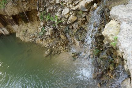 Farm Property in Washington County, Texas