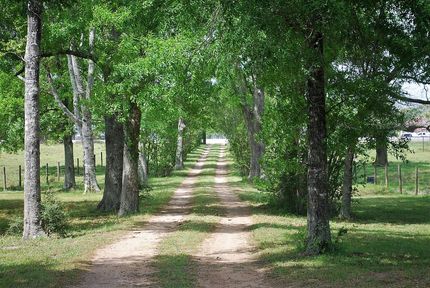 Property in Wharton County, Texas
