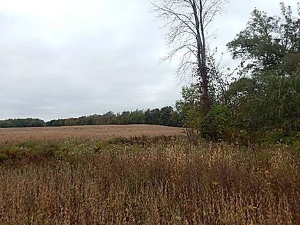 Farm Property in Van Buren County, Michigan