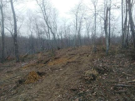 Farm Property in Warren County, Tennessee