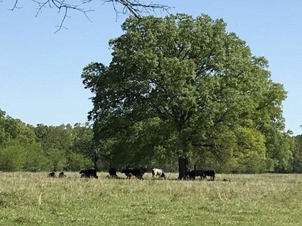 Property in Perry County, Alabama