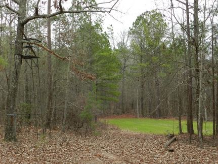 Undeveloped Land in Baldwin County, Georgia