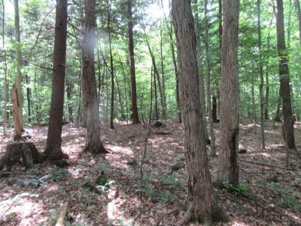 Residential Property in Saratoga County, New York