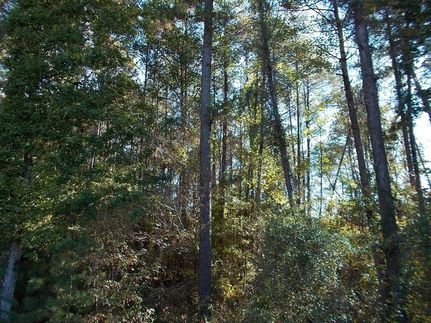 Farm Property in LaSalle Parish, Louisiana