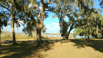 Farm Property in Marion County, Florida