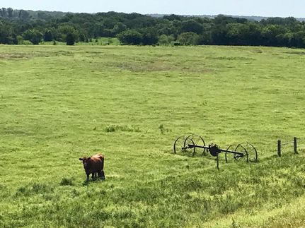 Commercial Property in Erath County, Texas