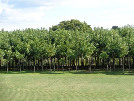 Commercial Property in Herkimer County, New York