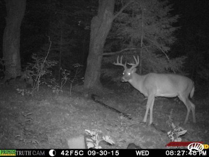 Property in Ashland County, Wisconsin