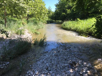 Recreational Property in Menard County, Texas