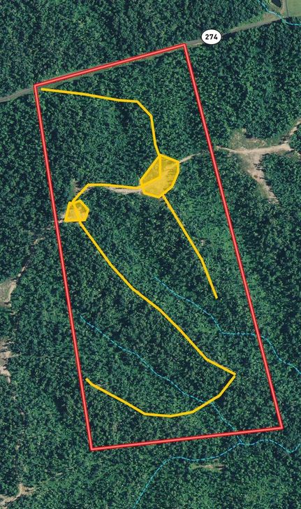 Timberland Property in Trigg County, Kentucky
