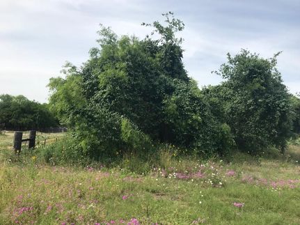 Ranch Property in Atascosa County, Texas