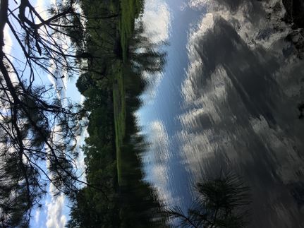 Residential Property in Pearl River County, Mississippi