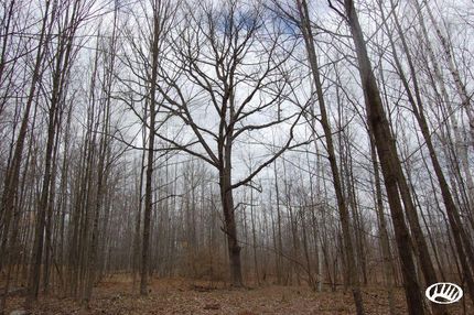 Farm Property in Ogemaw County, Michigan