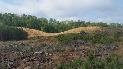 Farm Property in Marion County, Alabama