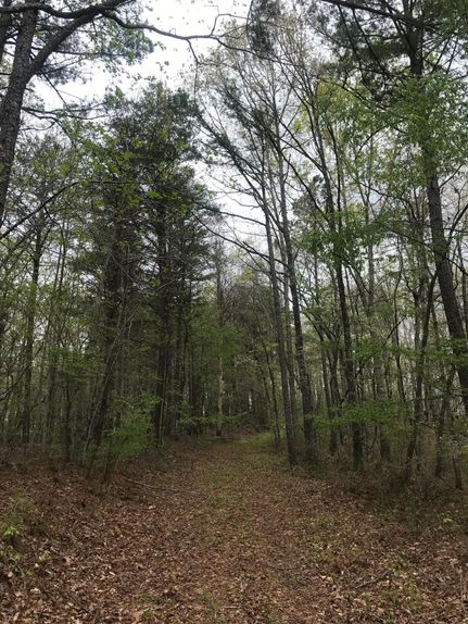 Recreational Property in Cherokee County, Georgia